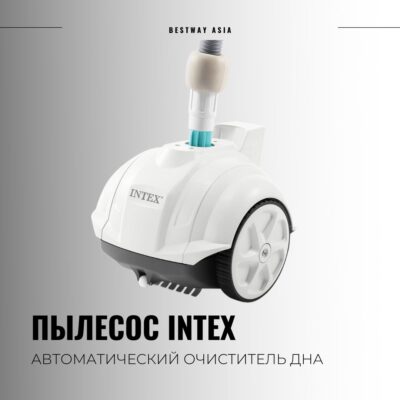 #28007 АКВА РОБОТ INTEX ZX50